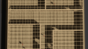 Screenshot 2025 01 02 212247