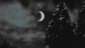 Screenshot 2025 01 18 140623