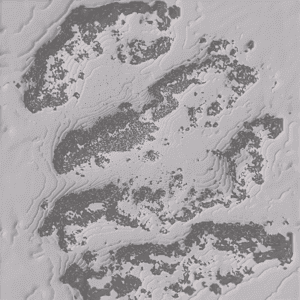 Screenshot 2025 01 22 224218