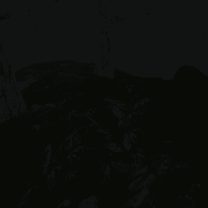 o 1g9e108vf1a8c151l5tvl2d15t610