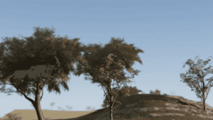 o 1hag028kd1rjs1kck1qj11iftbd13