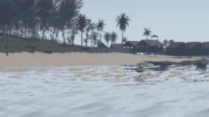 o 1haga6pv8u1mmaf1ivr10tt1g6k10