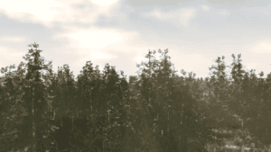 o 1hl4e93hl31pbeo19cru1d1cia1g