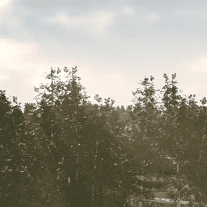 o 1hl4e93hl31pbeo19cru1d1cia1g