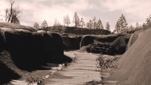 o 1hl4nr0lv37u1bpe1kn51g43l1c