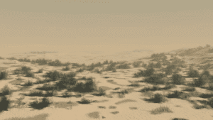 o 1hnea8gvo122gmmf1reb1egi3br1l