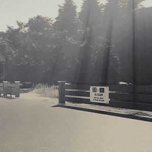 o 1hsjl0aoh1r0t1k901ff31a2b51019