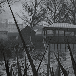 o 1i3todrjk1dcl1ad81dbn17a2e915