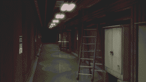 o 1i61l399v1571gq3i7e13spoor1f