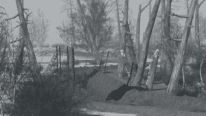 o 1i9laamk518801a86a7rafi13o919