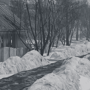 o 1i9laamk52dosm710u211hr1s8g1a