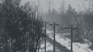 o 1i9laamk5uor12441ab01g741l2g1f