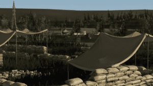 o 1i9n0bb9p1vt42hggqs1hjjpuq16