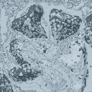 o 1iblg6ip213vq1pqafp4ktqgeg1g