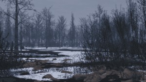 Screenshot 2025 03 09 183637