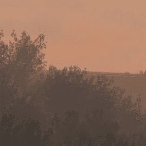 Screenshot 2025 09 07 183610 Copy