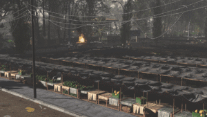 Screenshot 2026 03 05 005802